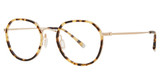 Paradigm Eyeglasses 19-11 Gold/YG