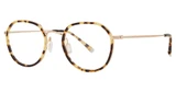 Paradigm Eyeglasses 19-11 Gold/YG