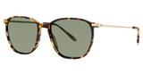 Paradigm Eyeglasses 19-38 Tortoise/TO