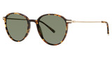 Paradigm Eyeglasses 19-39 Tortoise/TO