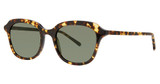 Paradigm Eyeglasses 19-41 Tortoise/TO