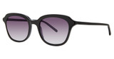 Paradigm Eyeglasses 19-41 Black/BK