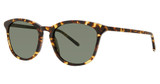 Paradigm Eyeglasses 19-42 Tortoise/TO