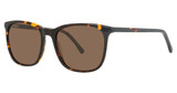 Eye Q Eyewear MP6007 TORTOISE/TORTOISE