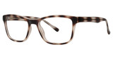 Modern Plastics I Eyeglasses Joshua brown matte tortoise