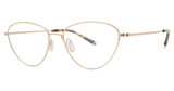 Paradigm Eyeglasses 20-03 Gold/YG