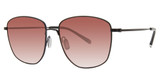 Paradigm Eyeglasses 20-53 Black/BK