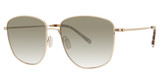 Paradigm Eyeglasses 20-53 Gold/YG