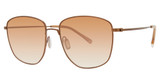 Paradigm Eyeglasses 20-53 Bronze/BZ