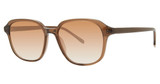 Paradigm Eyeglasses 20-55 Umber/UM