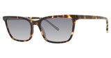 Paradigm Eyeglasses 20-57 Tortoise/TO