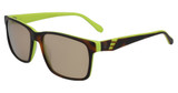 SPYDER Eyeglasses SP6003 TORTOISE/240