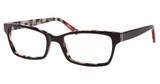 ED Eyeglasses O-06 BLACK TORTOISE/BLKTT