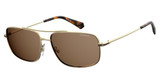 Polaroid Eyeglasses PLD 6107/S/X GOLD/0J5G