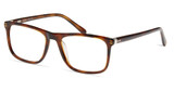 Modo Eyeglasses 6536 Tortoise/TRT