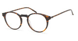 Modo Eyeglasses LEWIS Tortoise/TRT