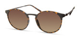 Modo Eyeglasses 701 Brown Tortoise/BTRT