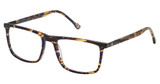 Champion Eyeglasses CROSBY BLUE TORTOISE/C02