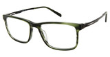 TLG Eyeglasses NU044 OLIVE HORN/C03