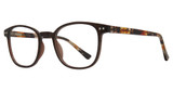 Eye Q Eyewear GTN806 Brown/BROWN