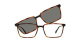 Vivid Eyeglasses VIVID 6029 shiny tortoise