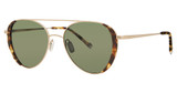 Paradigm Eyeglasses 20-61 Tortoise/TO