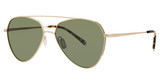 Paradigm Eyeglasses 20-60 Gold/YG