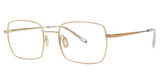 Paradigm Eyeglasses 20-20 Gold/YG