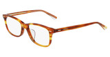 Calvin Klein Eyeglasses CK20551A HONEY TORTOISE/259
