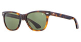 AO Eyewear Eyeglasses Saratoga Tortoise/1