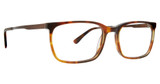 Argyleculture Eyeglasses Gilmour Brown Horn/BRHN