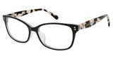 PHOEBE Eyeglasses P341 BLACK/BLK