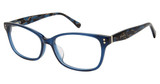 PHOEBE Eyeglasses P341 NAVY/NAV