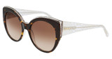 Bebe Eyeglasses BB7231 TORTOISE/240