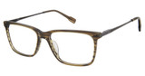 Sperry Eyeglasses SPBRADBURY OLIVE HORN/BLK/C03