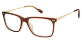 Sperry Eyeglasses SPBRADBURY TRANS BROWN/C02