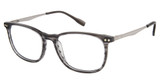 Sperry Eyeglasses SPMORSE GREY HORN/C01