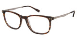 Sperry Eyeglasses SPMORSE BROWN HORN/C02