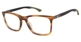 Champion Eyeglasses CULIT300 BROWN HORN/C02