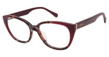 PHOEBE Eyeglasses P343 PURPLE/PUR