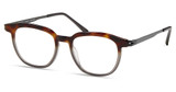 Modo Eyeglasses 4542 Tortoise-to-Grey