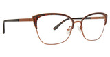 XOXO Eyeglasses Phoenix Brown/BRWN