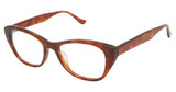 Denon Eyewear Eyeglasses WILLOW Honey Classic Tortoise/32