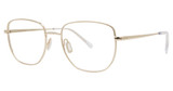 Paradigm Eyeglasses 21-02 Gold/YG