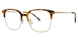 Paradigm Eyeglasses 21-04 Tortoise/TO
