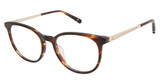 Sperry Eyeglasses BRONWYN BROWN HORN/GOLD/C01