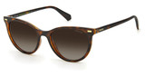 Polaroid Eyeglasses PLD 4107/S HVN/0086