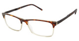Geoffrey Beene Eyeglasses G534 Tortoise/TOR