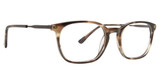 Argyleculture Eyeglasses Allman Horn/HORN