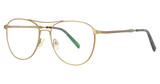 Your Brand Eyewear Eyeglasses 309 Antique Gold/03
